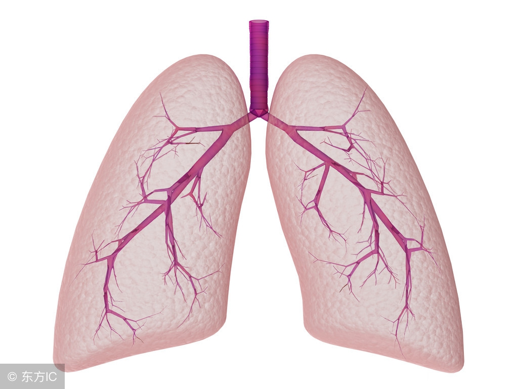 肺气肿的患者吃什么药比较好？牢记这几点，对症下药